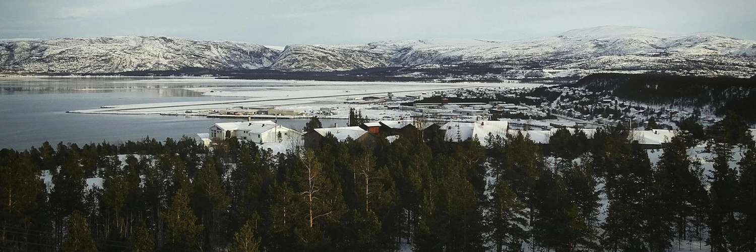 Alta