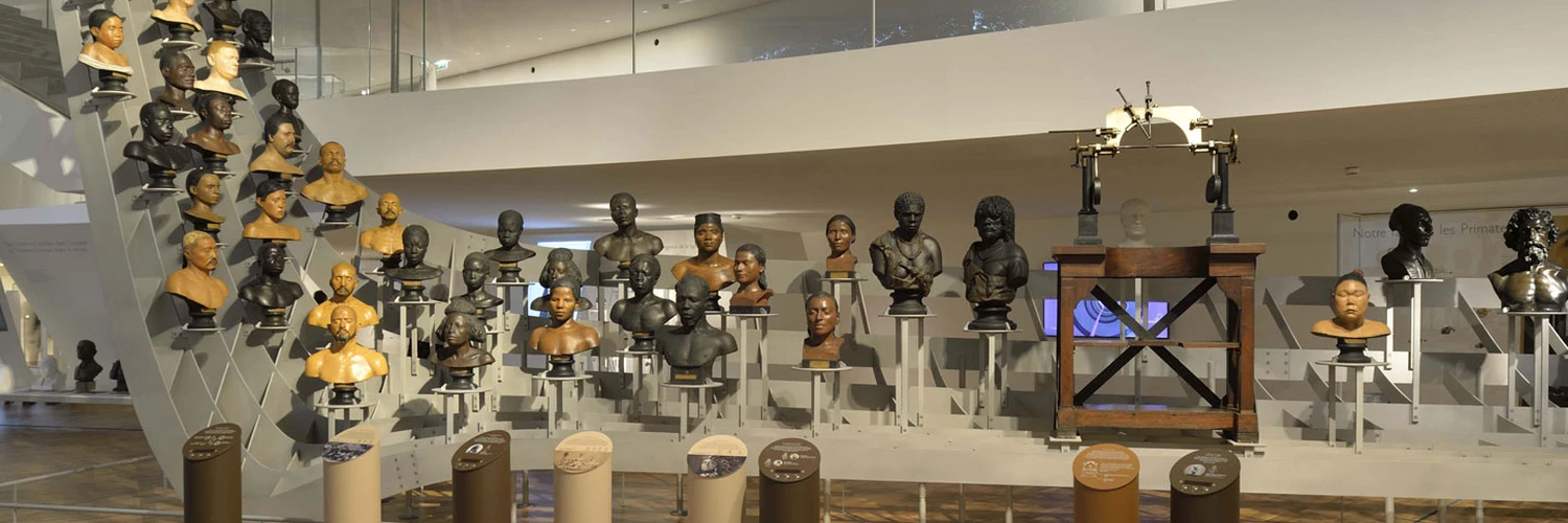 Musée de l’Homme: Kültür ve Evrimin Buluştuğu Yer