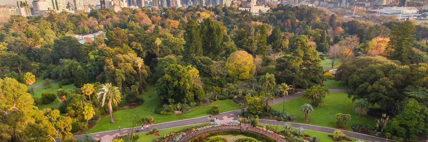 Melbourne’da Doğa: Kraliyet Botanik Bahçesi