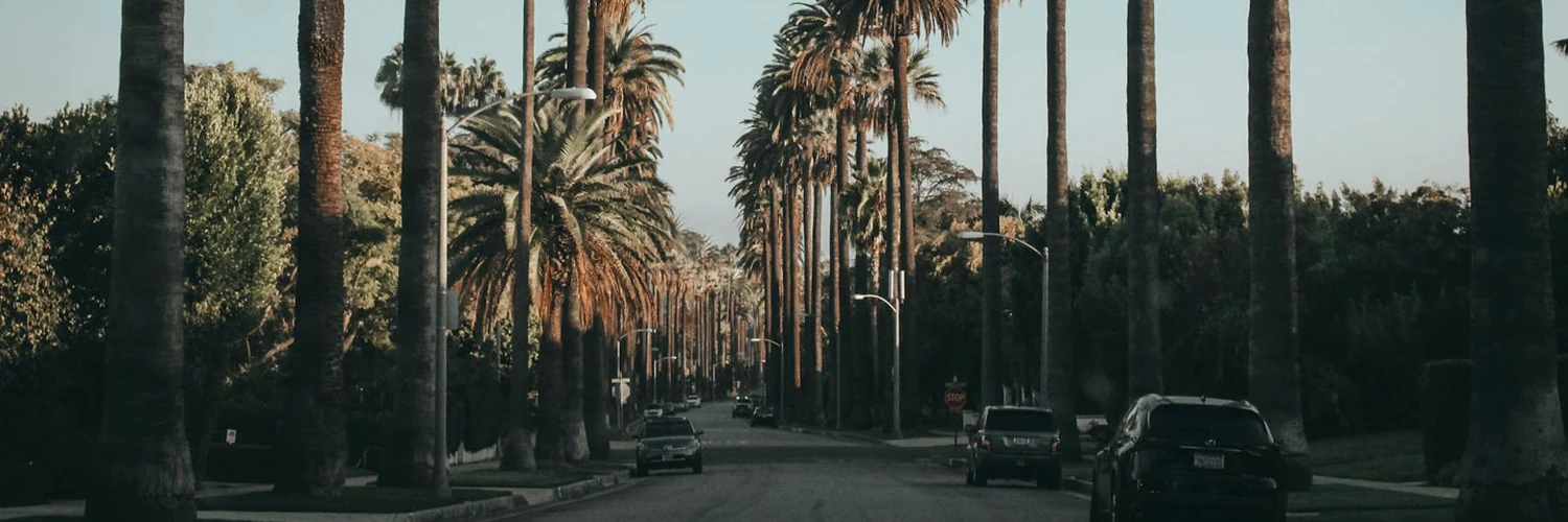 Beverly Hills Gezisi: Tarih, Kültür ve Lüks Deneyimi