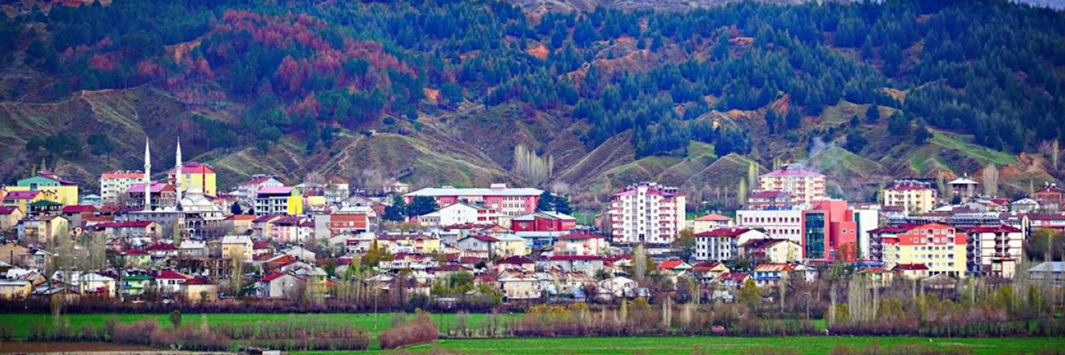 Genç'te Gezilecek Yerler