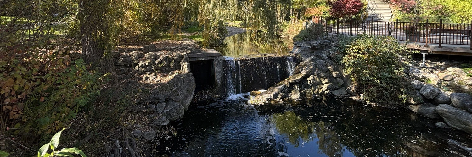 Edwards Gardens: Toronto’nun Yeşil Cenneti