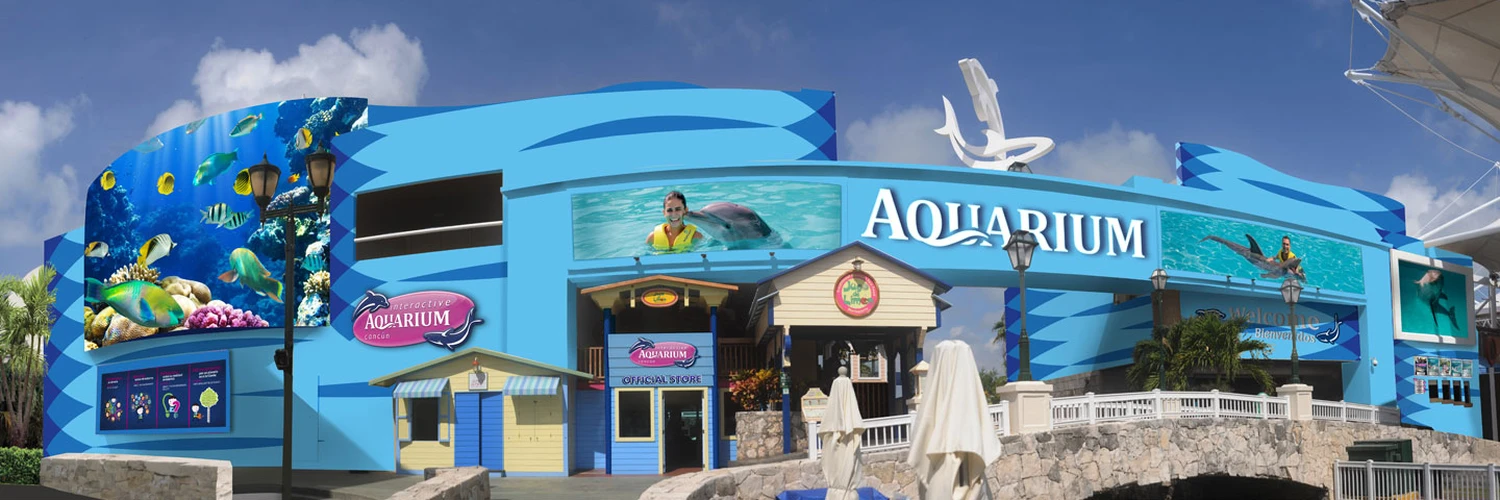 Cancún İnteraktif Akvaryumu: Deniz Dünyası