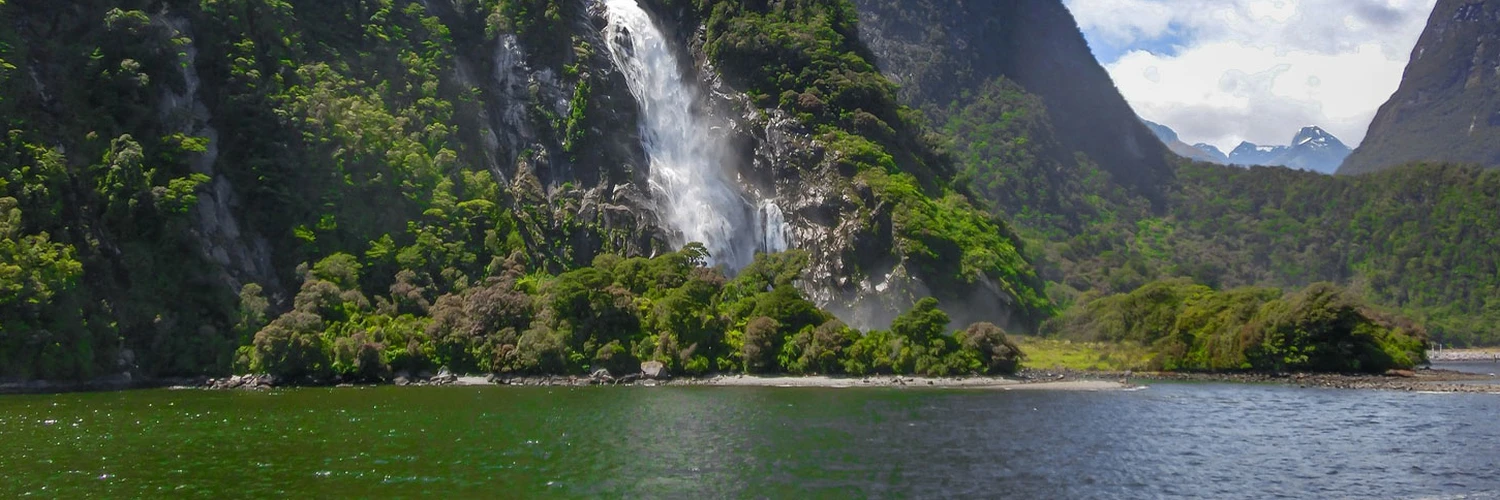 Zealandia Gezi Rehberi: Wellington Doğa Kaçamağı