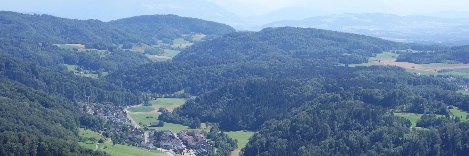 Uetliberg Dağı: Zürih’in En Güzel Manzarası