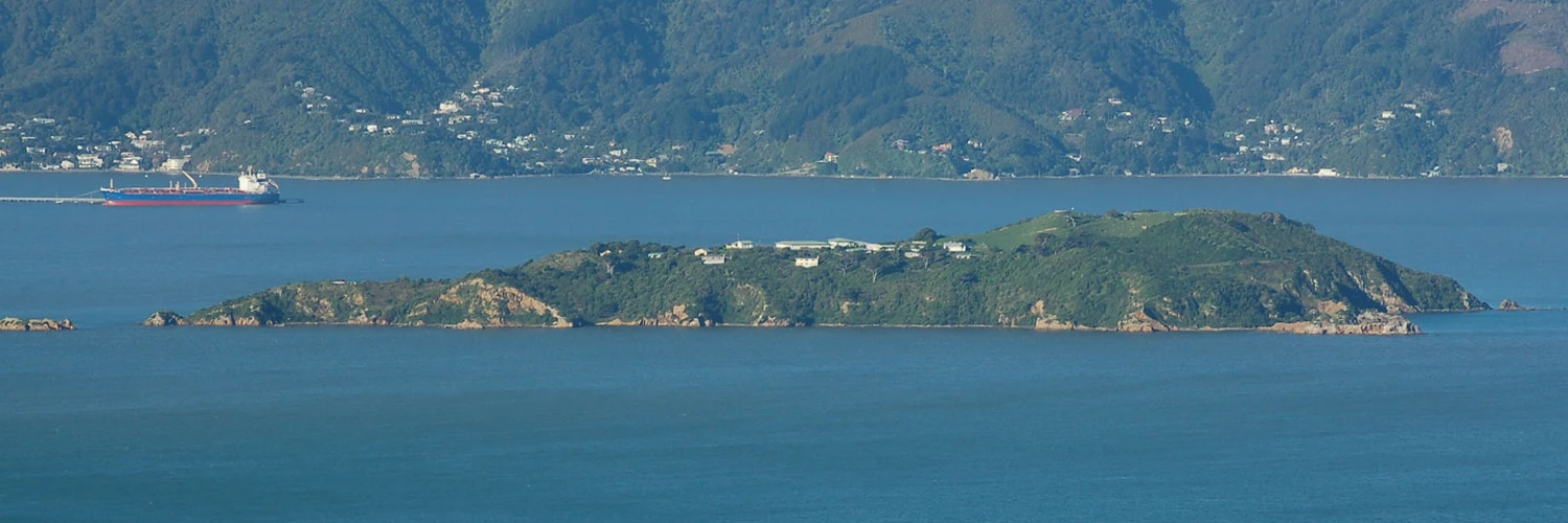 Wellington’da Görülmesi Gereken: Matiu Adası