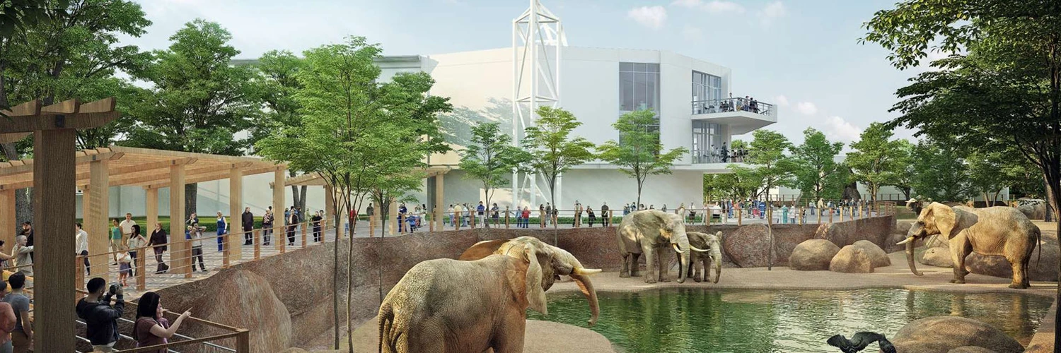 Zoo Atlanta: Hayvanlarla Dolu Bir Gün