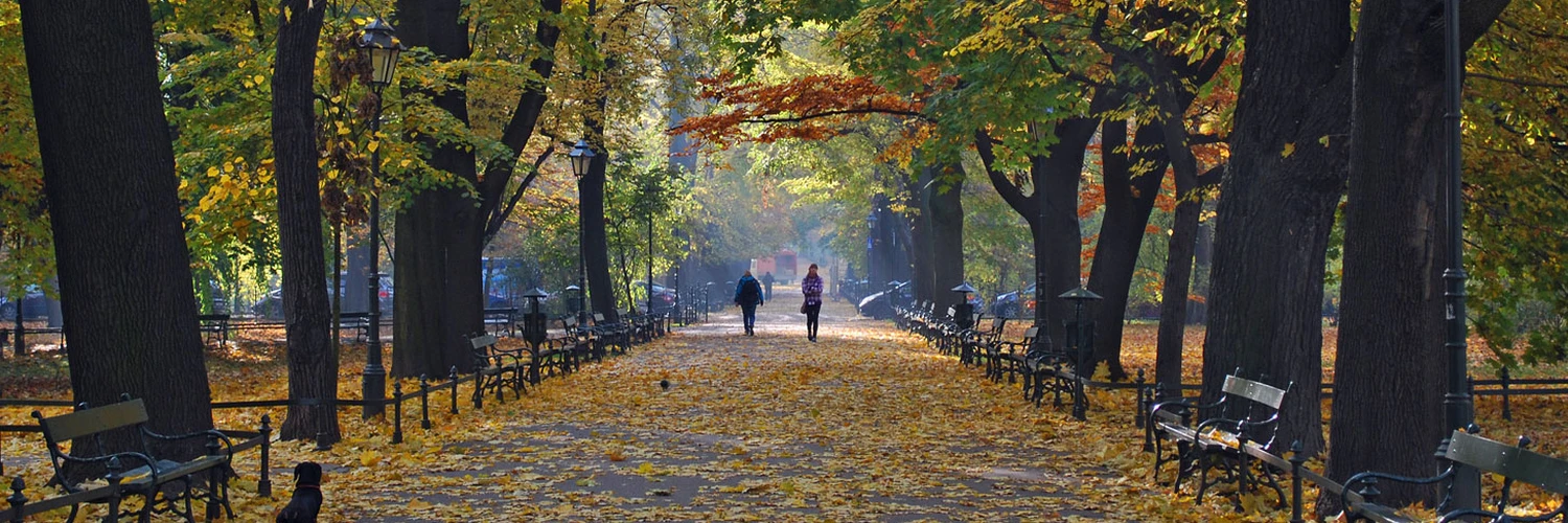 Planty Park: Krakow’un Yeşil Kuşağı