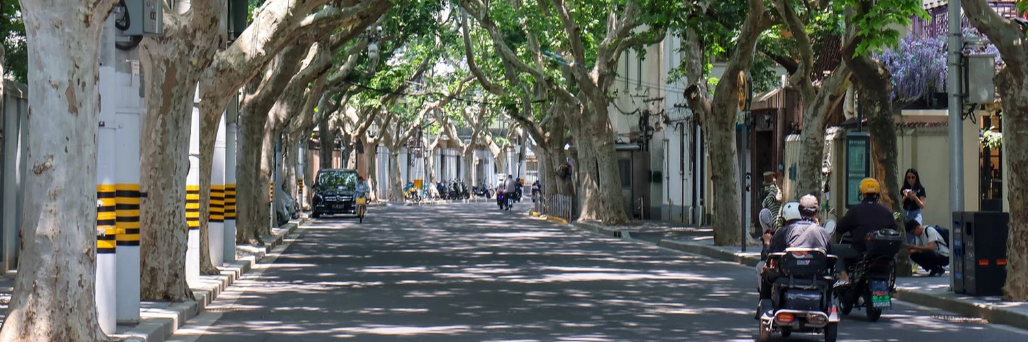 Şanghay’da Fransız Esintisi: French Concession