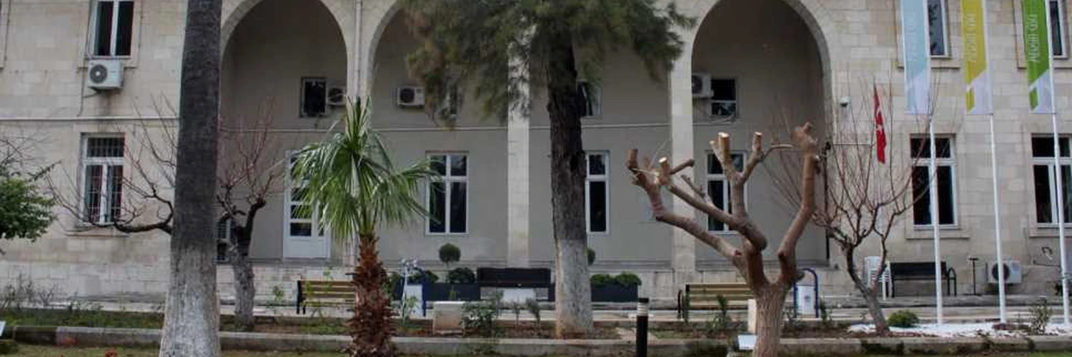 Mersin Güzel Sanatlar Galerisi: Sanat ve Kültür Rehberi