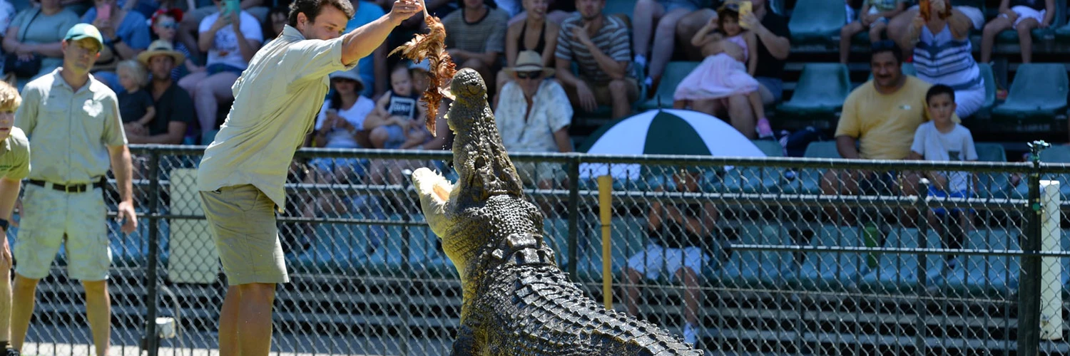 Brisbane Hayvanat Bahçesi Gezi Rehberi