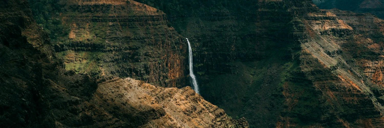 Waimea Valley: Tropik Ormanlarda Huzurlu Gezi