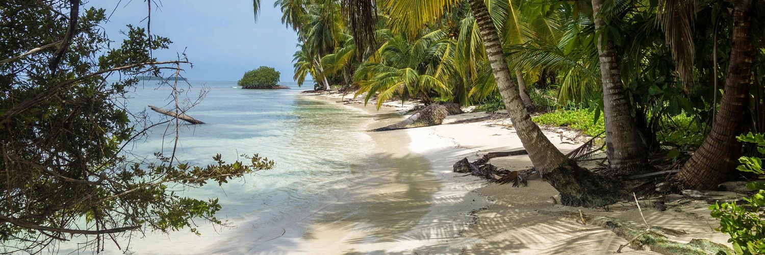 Jungle Island Miami’de Doğa ve Macera Deneyimi