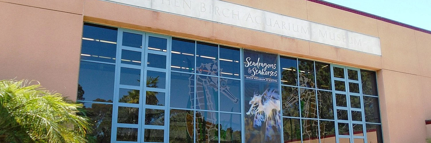 Birch Aquarium Hakkında Bilmeniz Gerekenler