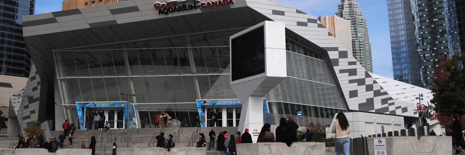 Toronto’da Deniz Dünyası: Ripley’s Aquarium