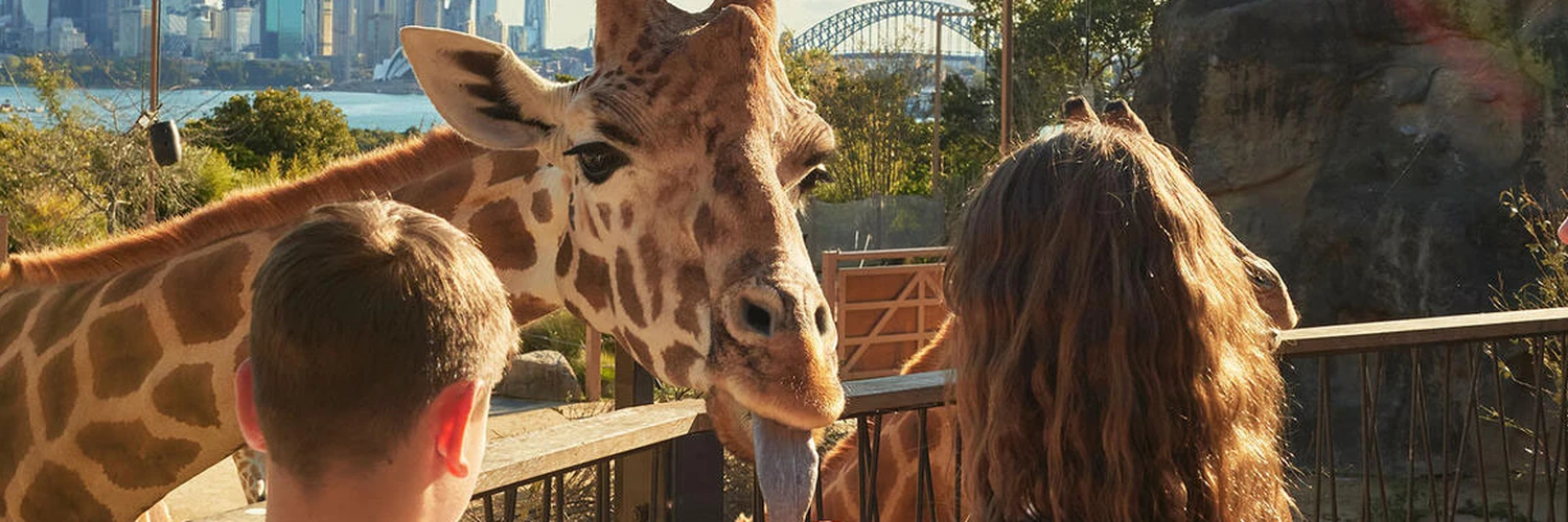 Taronga Hayvanat Bahçesi Gezi Rehberi