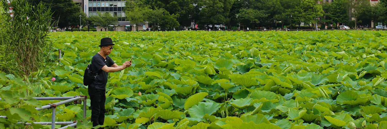 Ueno Parkı: Tokyo’nun Kültür ve Doğa Merkezi